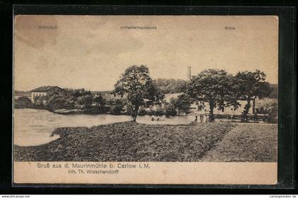 AK Carlow i. M., Maurinmühle T. Wieschendorff, Panorama mit Wohnhaus, Wirtschaftsgebäude u. Mühle