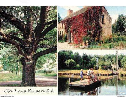 Kaisermuehl Muellrose Brandenburg Alter Baum Toepferei Faehre