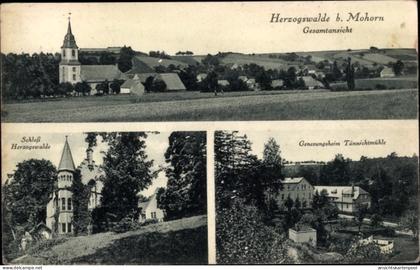 CPA Herzogswalde Wilsdruff Sachsen, Gesamtansicht, Schloss Herzogswalde, Genesungsheim