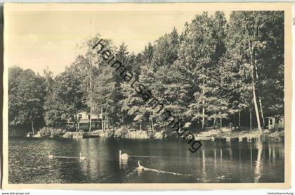 Schleusingen - Stadtpark - Foto-Ansichtskarte - Verlag Hermann Rumpel Schleusingen