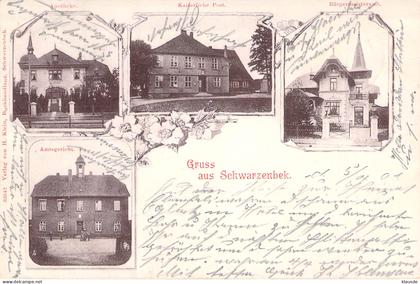 Gruß aus Schwarzenbek - Mehrbild gel.1901 AKS