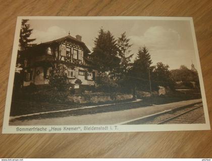 alte AK - Bleidenstadt b. Taunusstein ca. 1910 , Haus Kremer , Ansichtskarte !!!