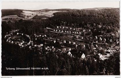 - B58325CPSM - TRIBERG - ALLEMAGNE - SCHWARZWALD - Très bon état - EUROPE