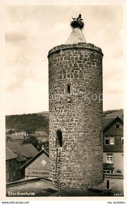 42988482 Vacha Storchenturm