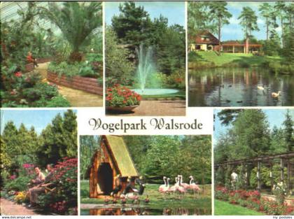 70112163 Walsrode Lueneburger Heide Walsrode Vogelpark x 1970