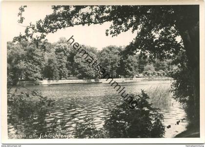 Berlin Zehlendorf - Schlachtensee - Foto-AK Grossformat - Verlag Bruno Schroeter Berlin