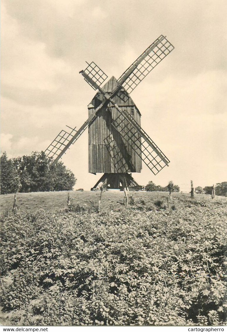 Germany postcard Greifswald Eldena Alte Muhle wind mill