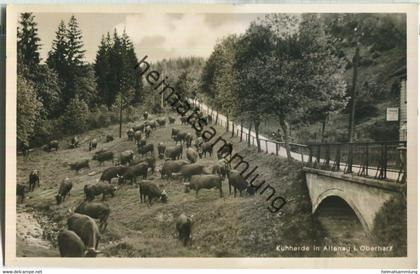 Altenau - Kuhherde - Foto-AK - Verlag O. Baste Altenau