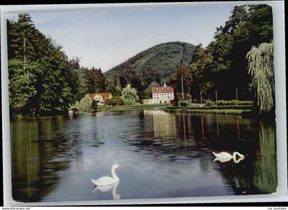 70670239 Bad Bergzabern Bad Bergzabern Schwanenweiher * Bad Bergzabern