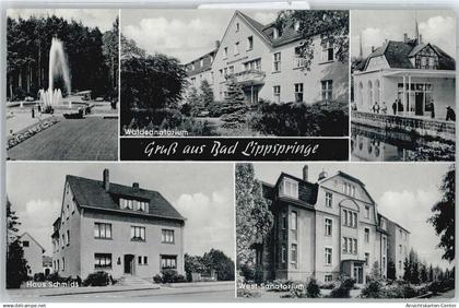 50365793 - Bad Lippspringe