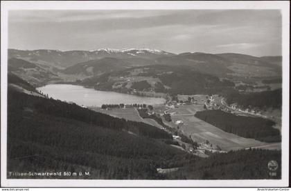 20038296 - Titisee-Neustadt