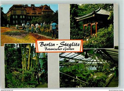 10338543 - Steglitz