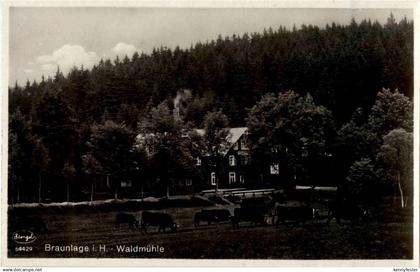 Braunlage - Waldmühle