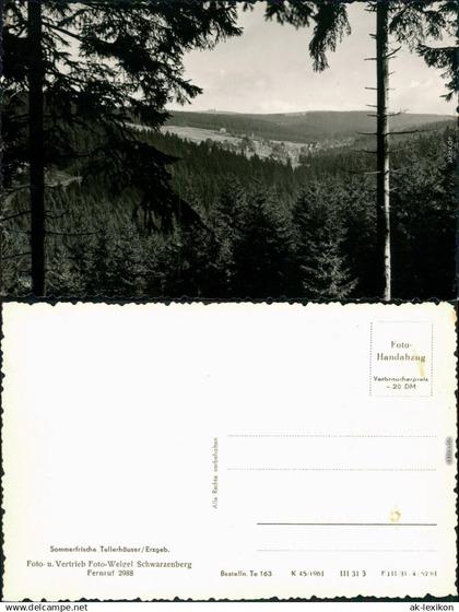 Ansichtskarte Tellerhäuser-Breitenbrunn (Erzgebirge) Panorama-Ansicht 1961