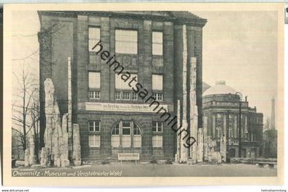 Chemnitz - Museum und Versteinerter Wald - Verlag Pickenhahn Chemnitz