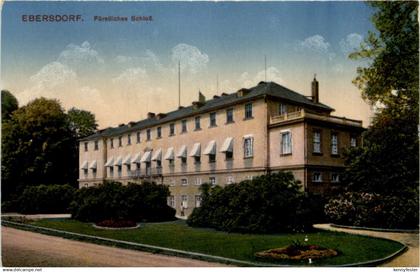 Ebersdorf, Fürstliches Schloss