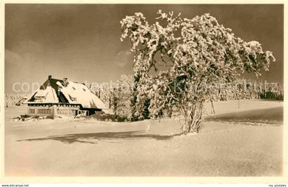 42830193 Furtwangen Hoehengasthaus Martinsheim Furtwangen