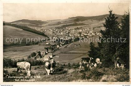 43115504 Furtwangen Panorama Furtwangen