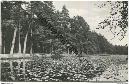 Gehren - Seerosenteich - Foto-AK - Verlag VEB Bild und Heimat Reichenbach 1965