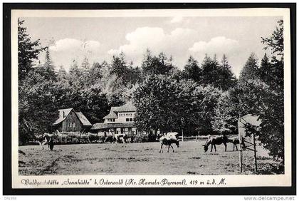 AK WALDGASTSTÄTTE  SENNHÜTTE OSTERWALD KR. HAMELN PYRMONT