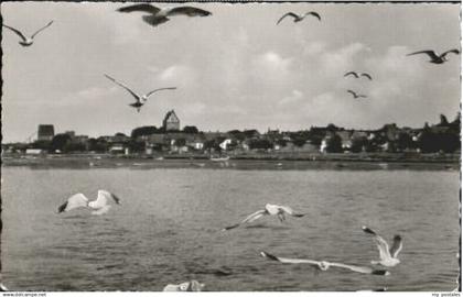 70119489 Heiligenhafen Ostseebad Heiligenhafen  ungelaufen ca. 1955