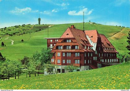 ALLEMAGNE FELDBERG HOCHSCHWARZWALD