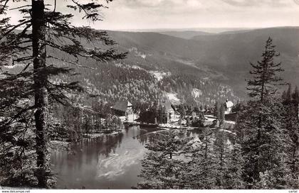 HOCHSCHWARZWALD - Mummelsee, Nördl.