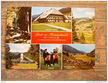 Menzenschwand -Hochschwarzwald   VF  D17674