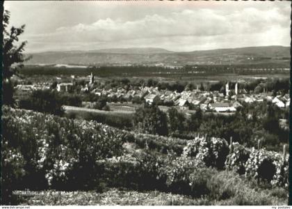 70081899 Nieder-Ingelheim Niederingelheim a. Rhein Ingelheim am Rhein