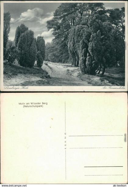 Ansichtskarte _Niedersachsen allgemein Lüneburger Heide - Waldweg 1929