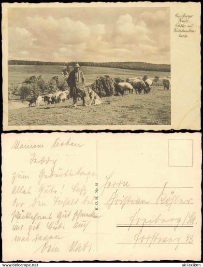 .Niedersachsen Lüneburger Heide Schäfer mit Heidschnuckenherde 1931