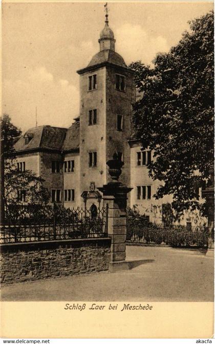 CPA AK Meschede - Schloss Laer bei Meschede GERMANY (857934)