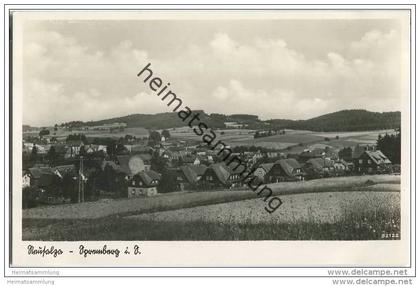 Neusalza-Spremberg - Gesamtansicht - Foto-AK