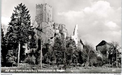 70660135 Regen Regen Burg Weissenstein *