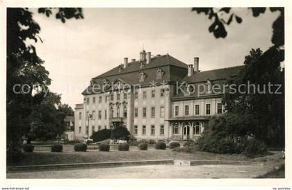 43351747 Brandis Wurzen Schloss Park Brandis Wurzen