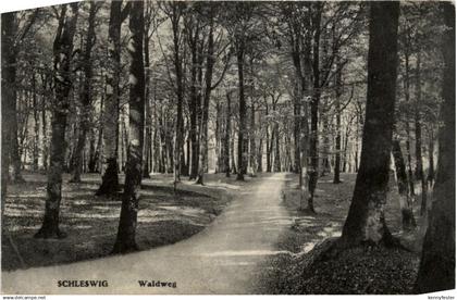 Schleswig - Waldweg