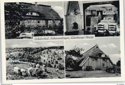 70133168 Schneverdingen Schneverdingen Schaeferhof *