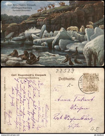 Stellingen-Hamburg Carl Hagenbeck's Tierpark Nordland - Panorama 1917