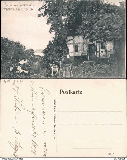 Ansichtskarte Teupitz Amtmanns Weinberg Teupitzsee 1912