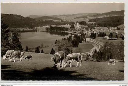 70045068 Titisee-Neustadt Titisee Neustadt Neustadt