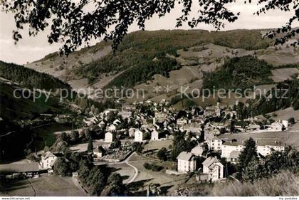 42696211 Todtnau Panorama Todtnau