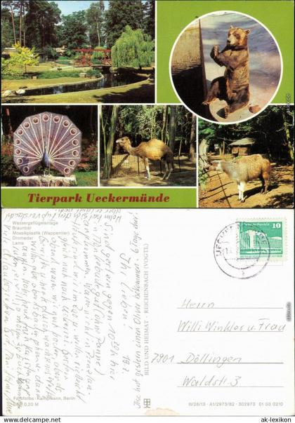 Ueckermünde Tierpark Ansichtskarte g1982