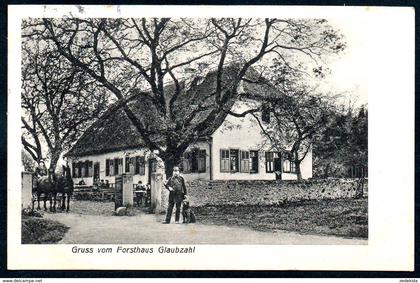 B5566 - Gruss vom Forsthaus Glaubzahl bei Nidda