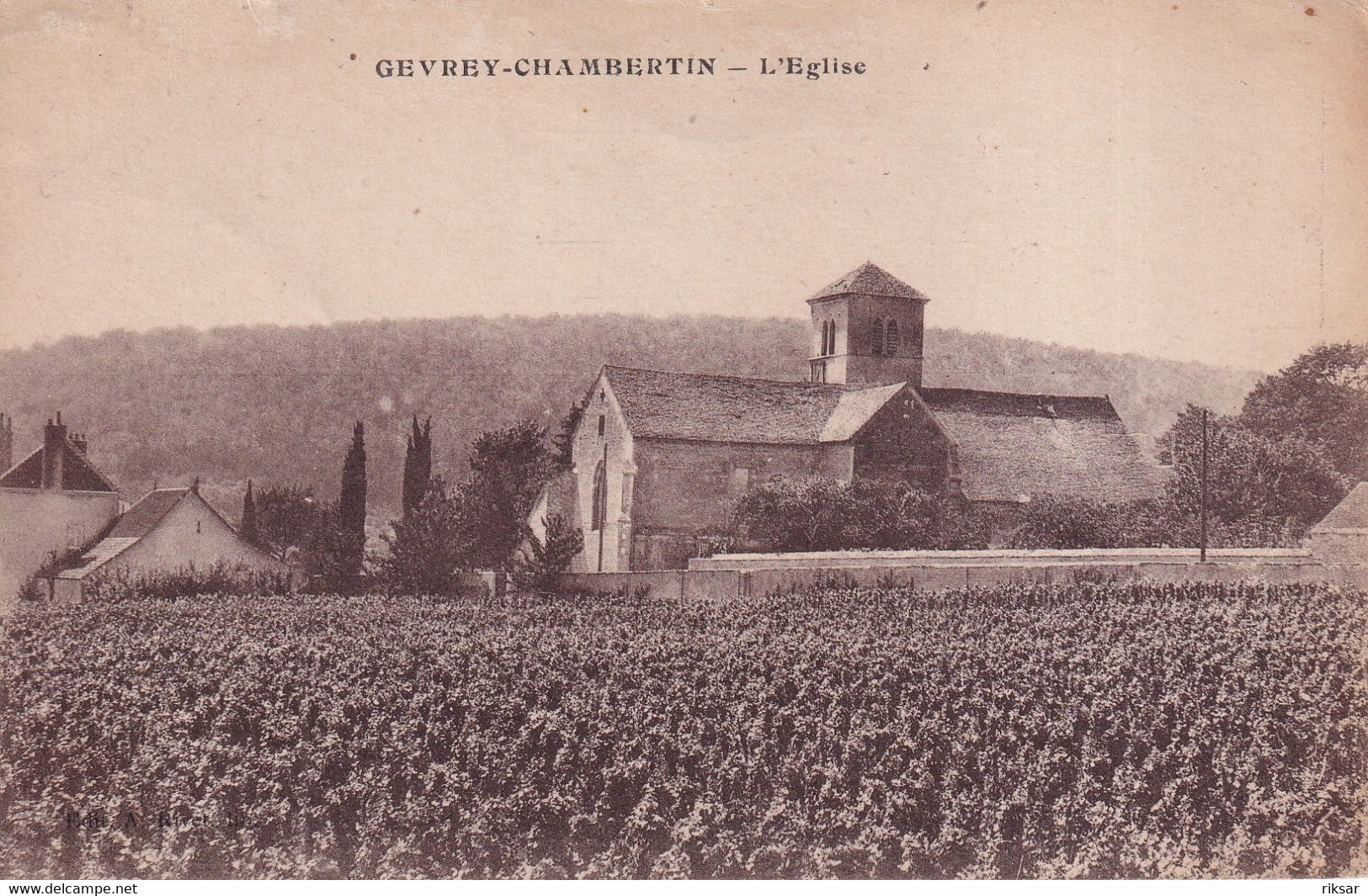 GEVREY CHAMBERTIN