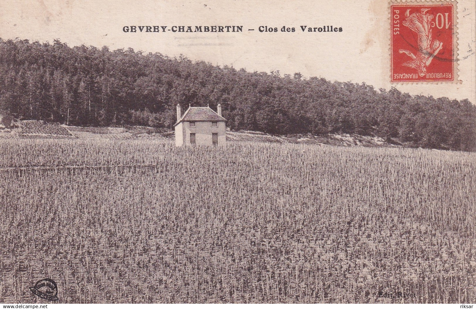 GEVREY CHAMBERTIN