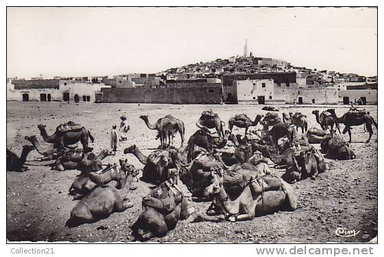 GHARDAIA ... CARAVANE DEVANT LA VILLE