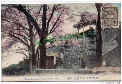 ASIE - JAPON - CHERRY BLOSSOM AT NOGE HILL YOKOHAMA