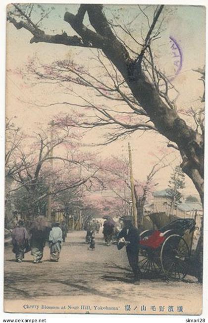 YOKOHAMA - CHERRY BLOSSOM AT NOGE HILL