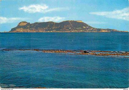 Gibraltar - El Penon de Gibraltar - Le Rocher de Gibraltar - CPM - Voir Scans Recto-Verso