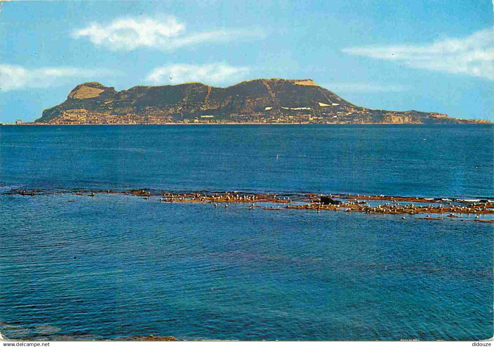 Gibraltar - El Penon de Gibraltar - Le Rocher de Gibraltar - CPM - Voir Scans Recto-Verso